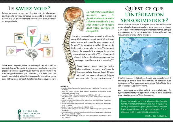 Brochure - Effects of an Adjustment